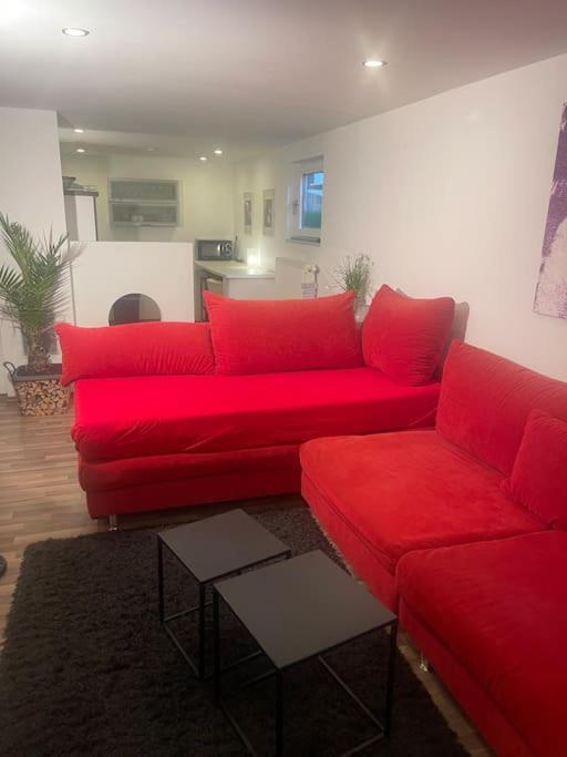 Gemuetliches Einliegerapartment, 50 Qm Trippstadt Esterno foto
