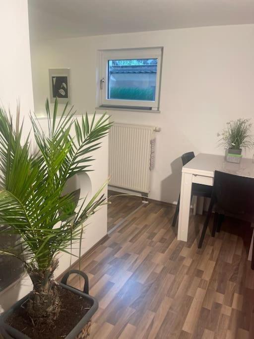Gemuetliches Einliegerapartment, 50 Qm Trippstadt Esterno foto